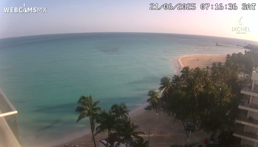 A tranquil beach with palm trees and turquoise water under a clear sky.