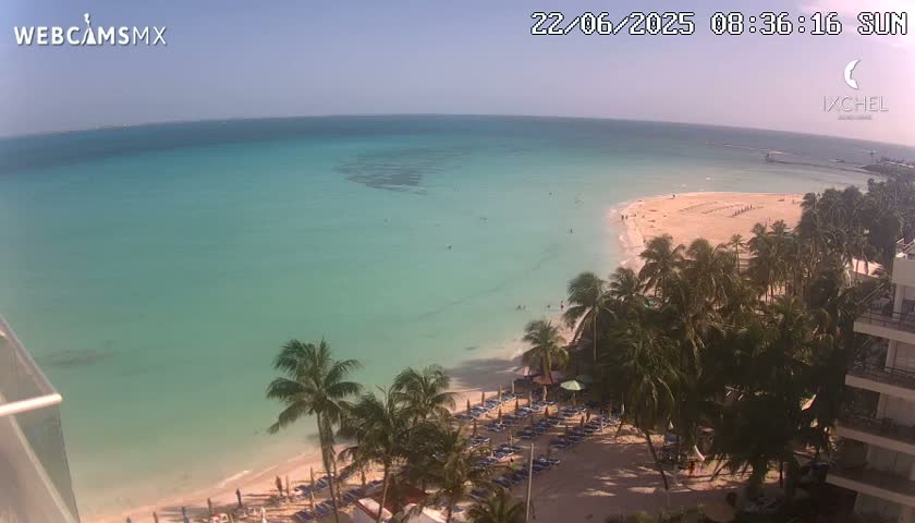A beach with light-colored sand, clear turquoise water, and palm trees under a sunny sky.