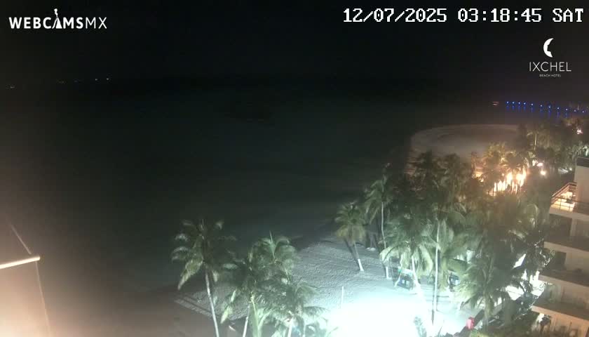 A nighttime view of a beach with palm trees and a building, under a clear sky.
