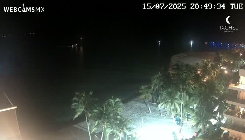 A nighttime view of a sandy beach lined with palm trees and a calm body of water under a clear, dark sky.