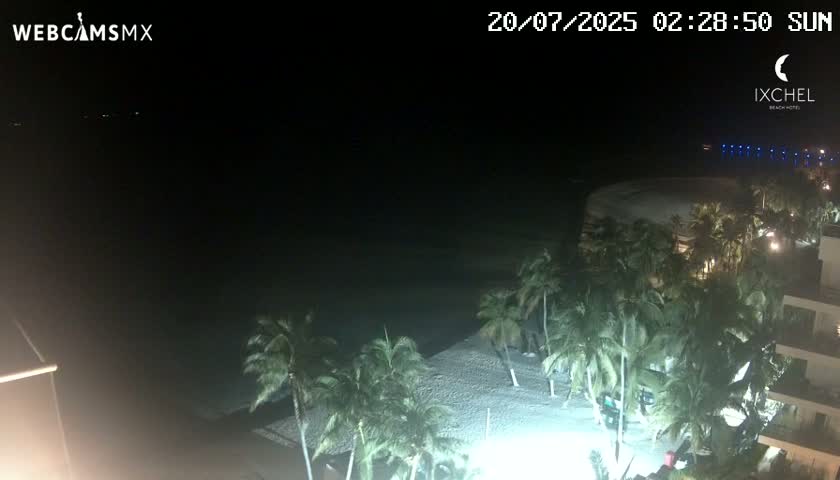 A nighttime beach scene shows palm trees lining a sandy shore next to a building, under a clear, dark sky.