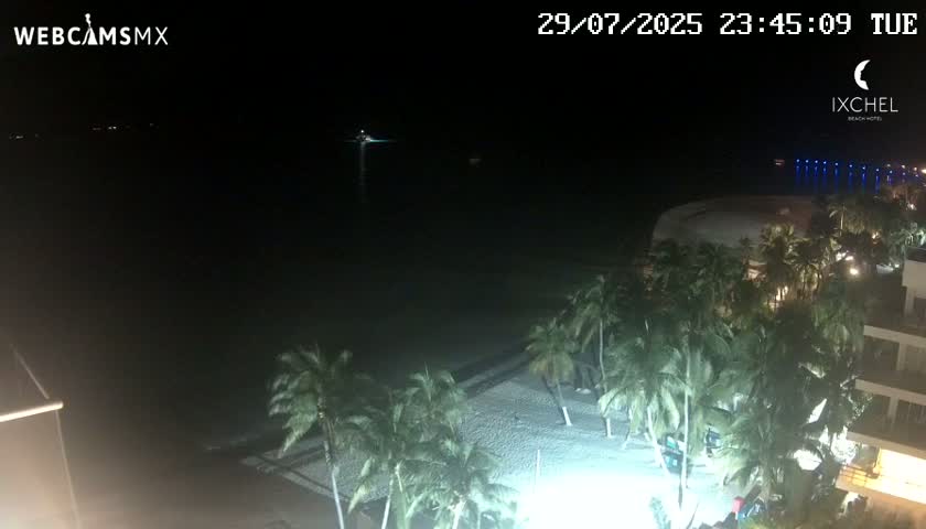 A nighttime beach scene shows palm trees lining a sandy shore next to a building, under a clear, dark sky.