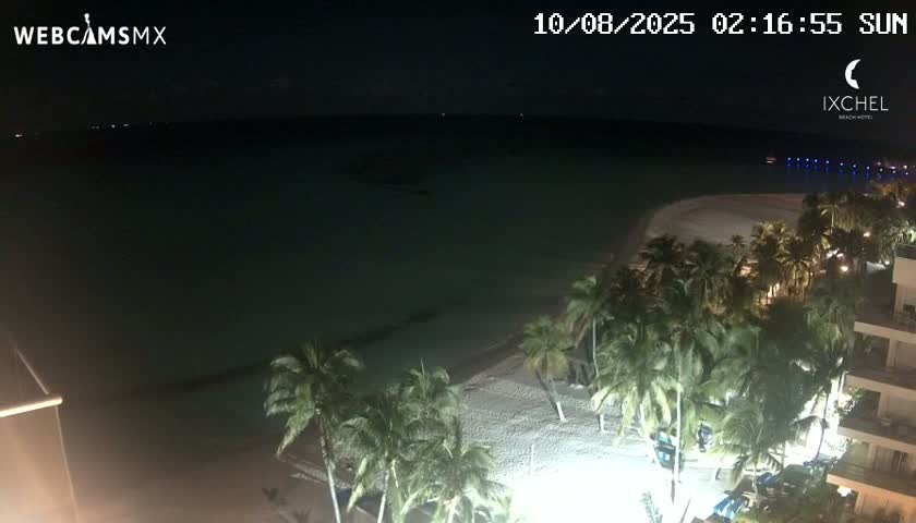A nighttime view shows a sandy beach lined with palm trees, next to a calm ocean under a clear, dark sky.