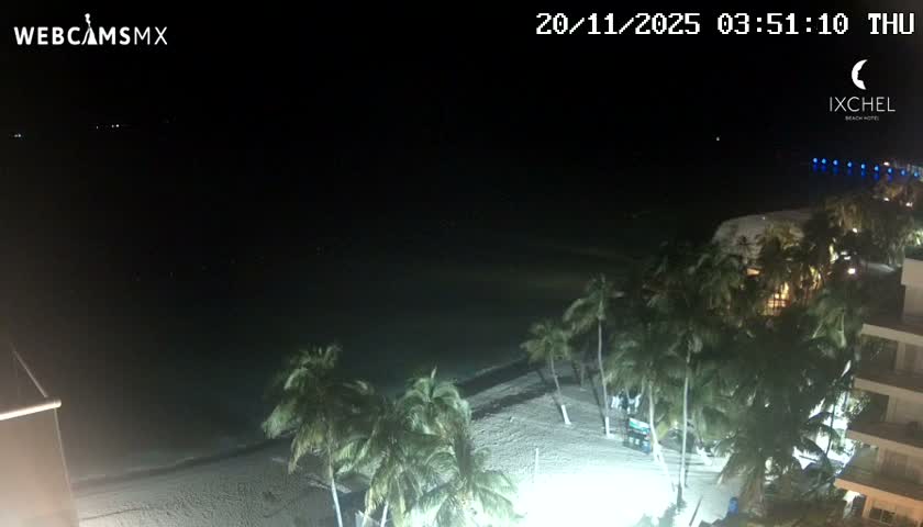 A nighttime view overlooks a dark ocean and sandy beach lined with palm trees, with a building visible on the right, under clear skies.