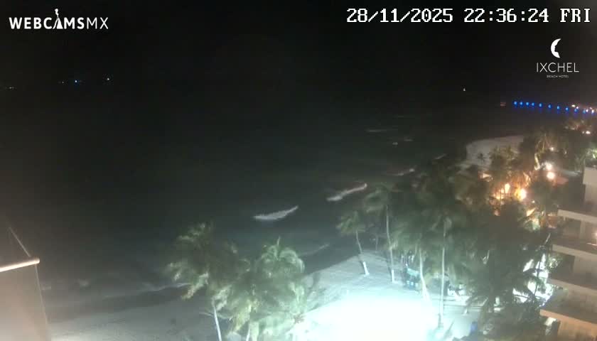 A nighttime webcam view captures gentle waves breaking on a sandy beach lined with palm trees and illuminated buildings, under a clear dark sky.