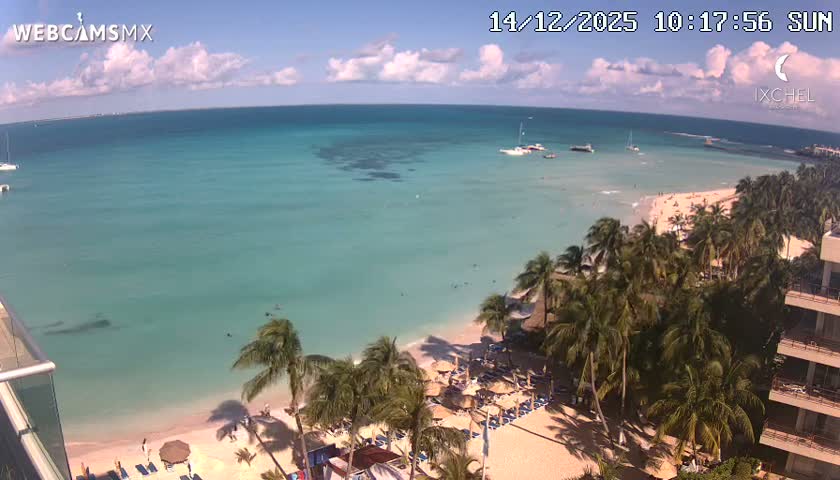 A nighttime webcam view captures gentle waves breaking on a sandy beach lined with palm trees and illuminated buildings, under a clear dark sky.