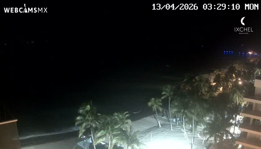 A nighttime webcam view captures gentle waves breaking on a sandy beach lined with palm trees and illuminated buildings, under a clear dark sky.