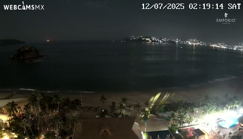 A nighttime view of a calm ocean with a city's lights visible across the water, a beach, and palm trees in the foreground.