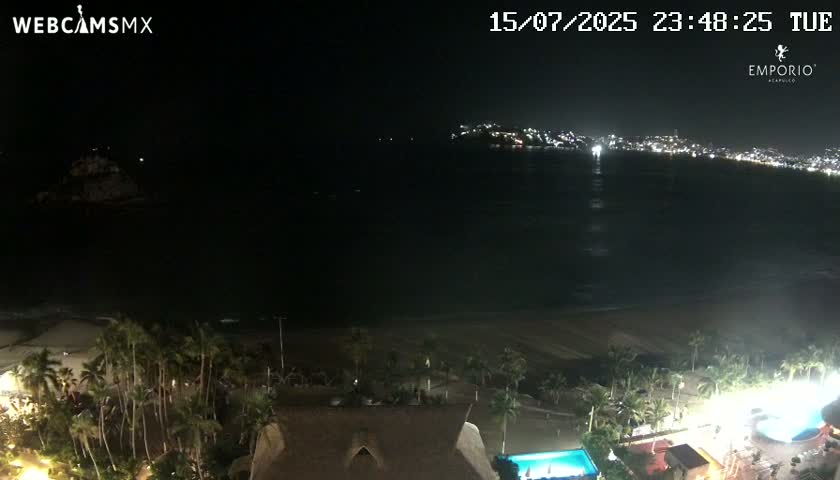 A nighttime view of a dark ocean with a city's lights in the distance, a sandy beach, palm trees, and illuminated buildings and pools closer to the viewer.
