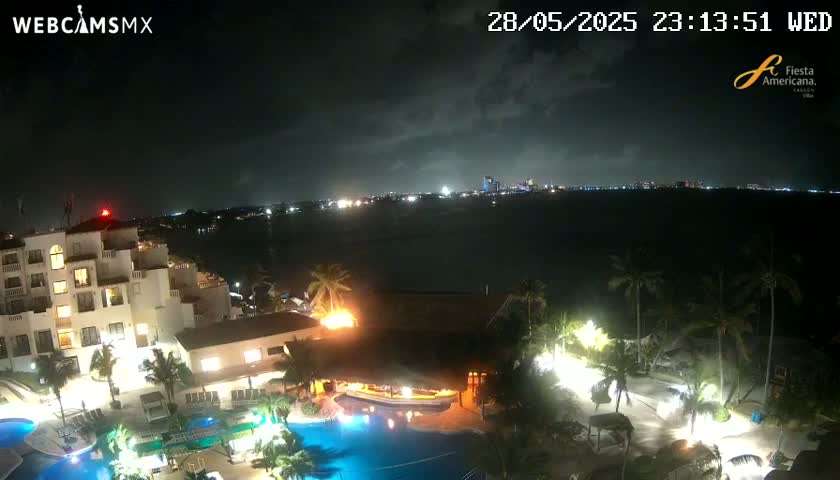 A nighttime view of a resort with a pool and palm trees overlooking a dark body of water with city lights in the distance under a cloudy sky.