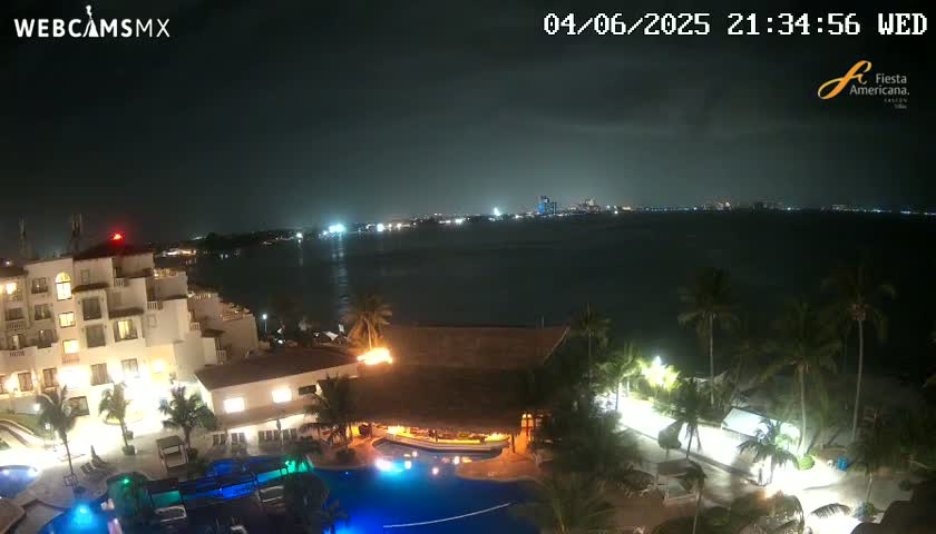 A nighttime view of a resort area with palm trees, a swimming pool, and a brightly lit building overlooking a dark body of water with a city skyline faintly visible in the distance under a mostly clear sky.
