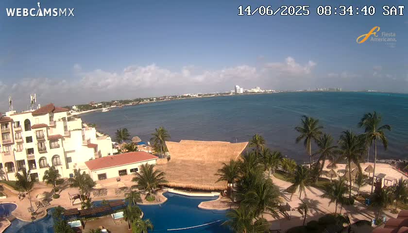 A sunny day overlooking a resort with a swimming pool, palm trees, and a beach next to a calm ocean with a city skyline in the distance.