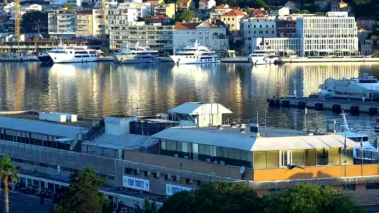 A calm harbor filled with numerous yachts and boats is situated in front of a city of multi-story buildings, under a sunny sky.