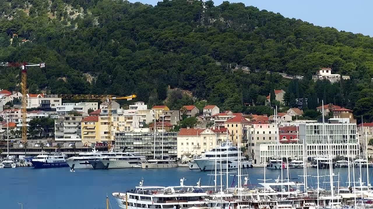 A harbor filled with yachts and cruise ships is situated below a hillside densely covered with green trees and numerous buildings of varying sizes and colors.