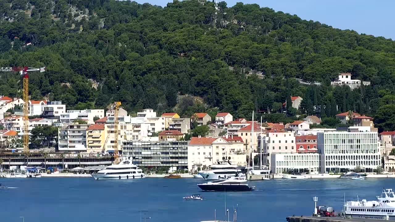 A harbor filled with yachts and boats sits at the base of a lush, green hill dotted with buildings under a clear sky.