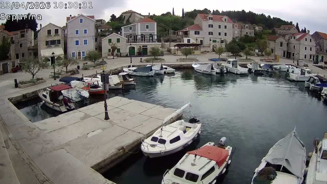Numerous boats are docked in a bustling harbor under a partly cloudy sky, with coastal buildings on either side and distant hills across the water.