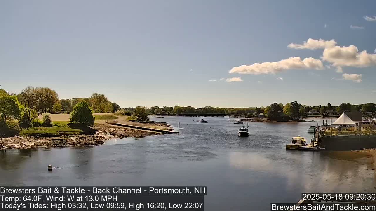 A calm river flows past green trees and a small town under a partly cloudy sky.