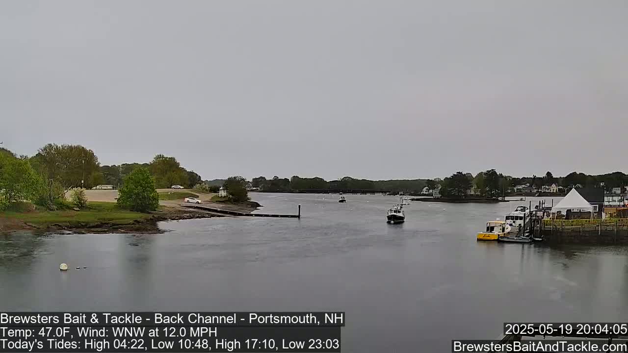 Several boats are moored near a shoreline with trees and buildings under an overcast sky.