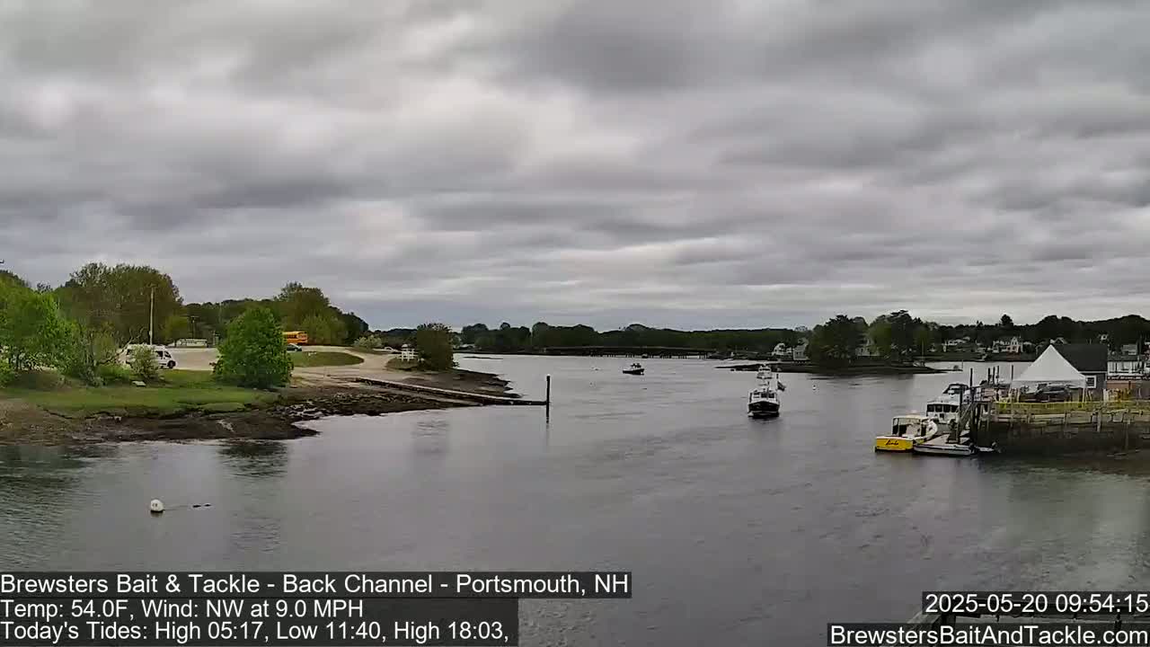 Several boats are moored in a calm river under an overcast sky.