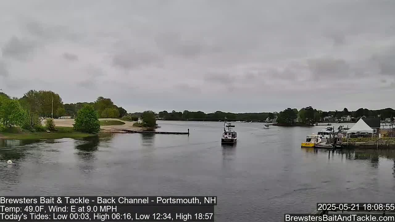 A calm river with overcast skies shows several boats moored at a waterfront establishment, with green trees lining the riverbanks.