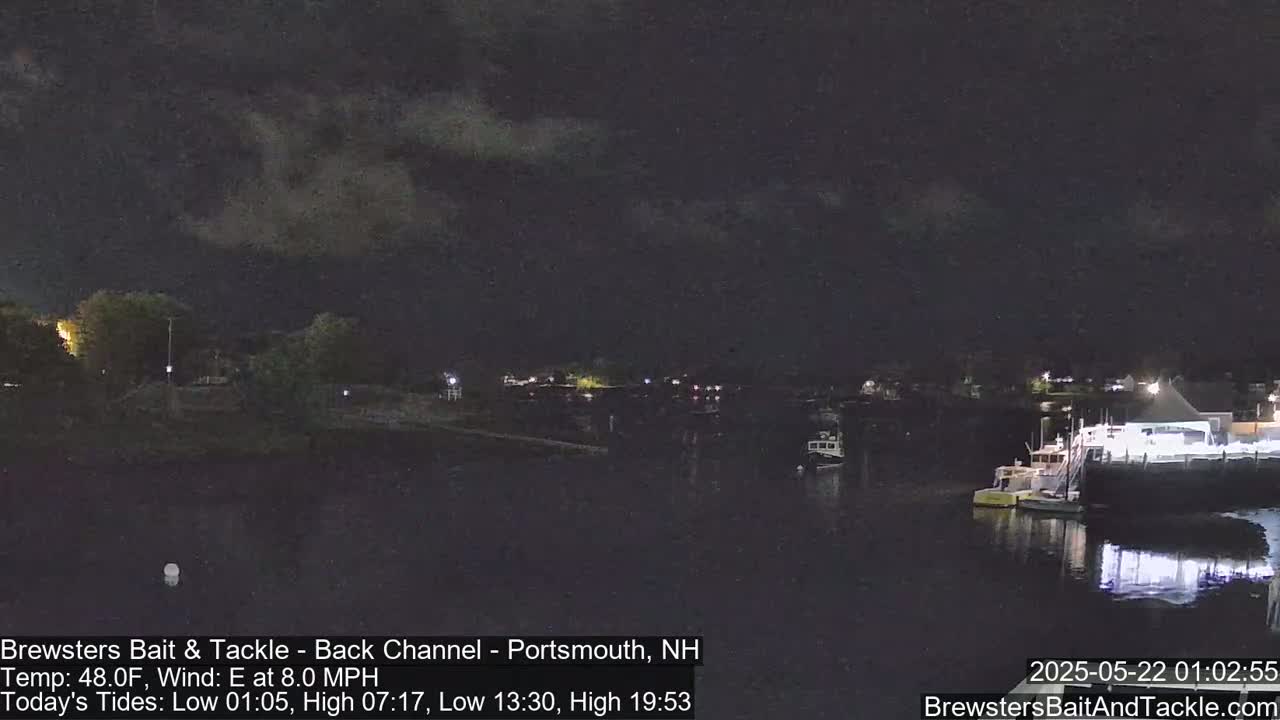 A nighttime view of a calm body of water with boats docked at a waterfront, under a partly cloudy sky.
