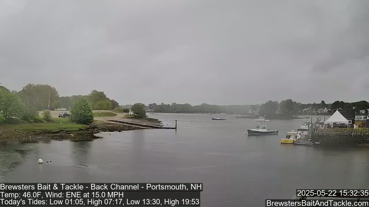 A calm, overcast day shows a waterway with several small boats moored near a shoreline with green vegetation and a building with a white tent.