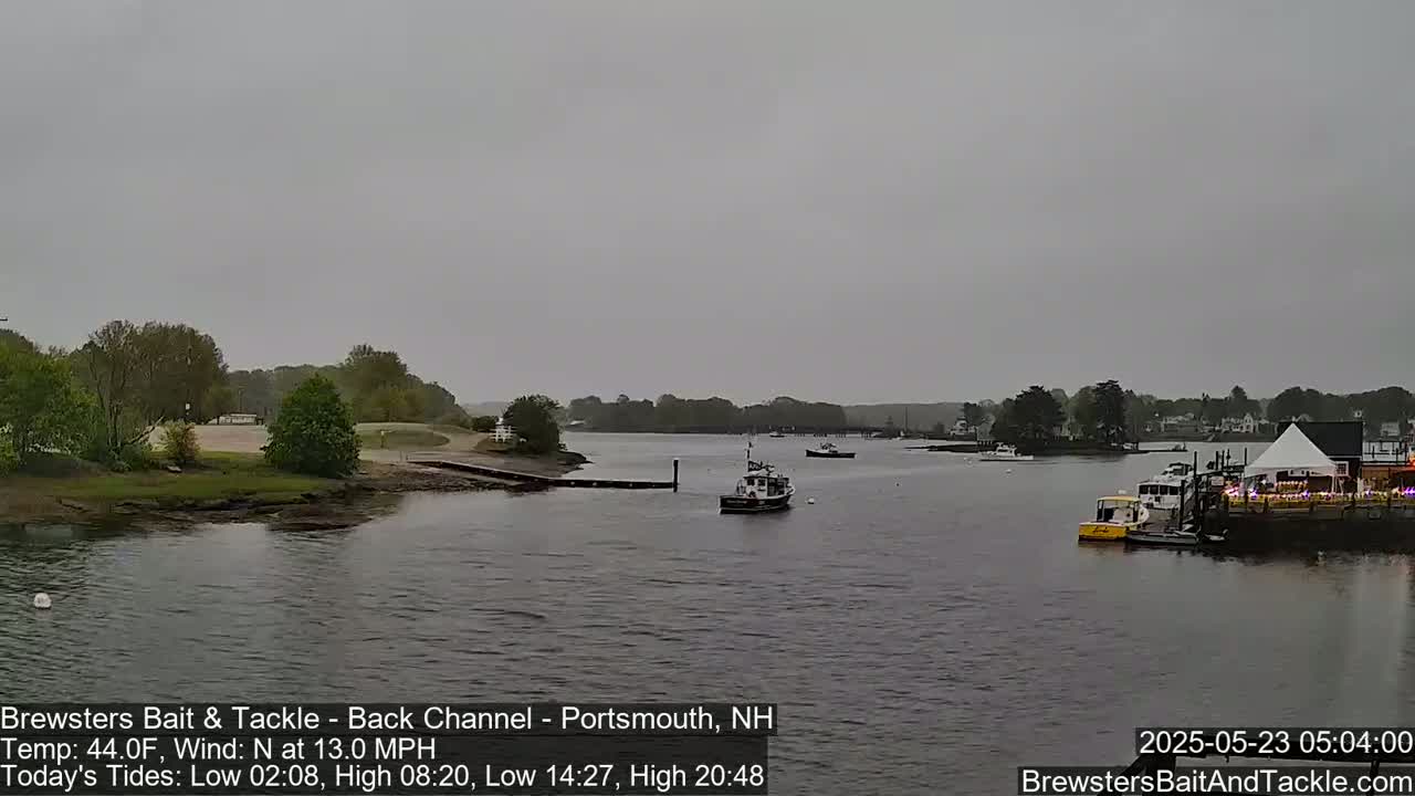 A calm body of water with several boats and a shoreline with trees under an overcast sky.