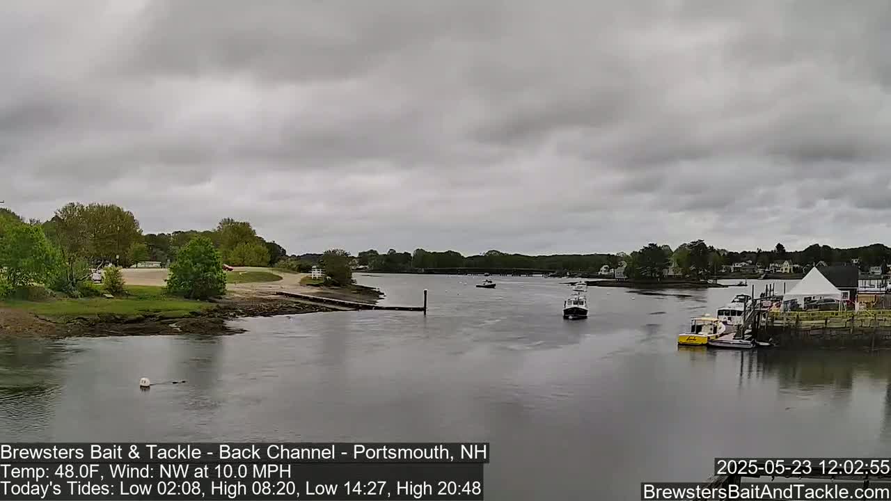 A wide shot of a calm river with several small boats and a waterfront area under an overcast sky.