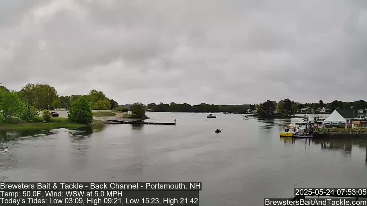 A calm river scene under an overcast sky shows boats moored at a dock near a shoreline with green trees and buildings in the distance.