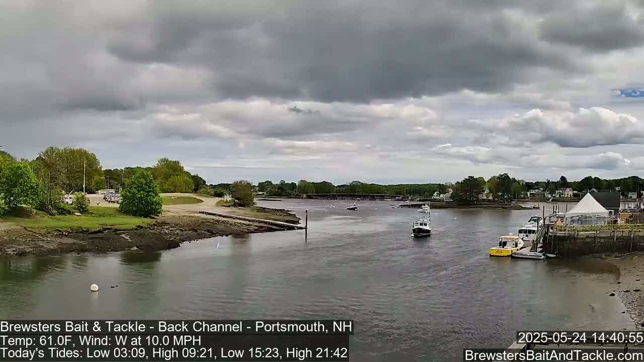 A wide shot of a calm river under a cloudy sky shows several small boats moored near a shoreline with green trees and buildings.