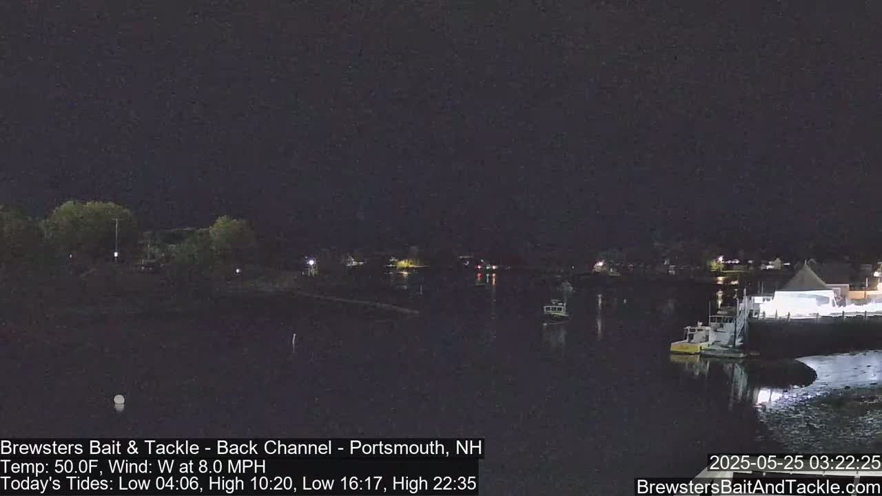 A nighttime view of a calm body of water with boats docked near a shoreline, under a dark sky.
