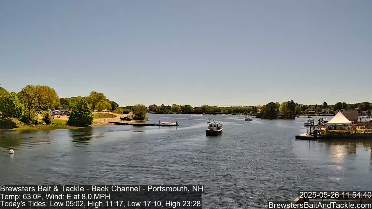 A calm, sunny day on a river shows several boats, a parking lot with cars, and lush green trees along the shoreline.