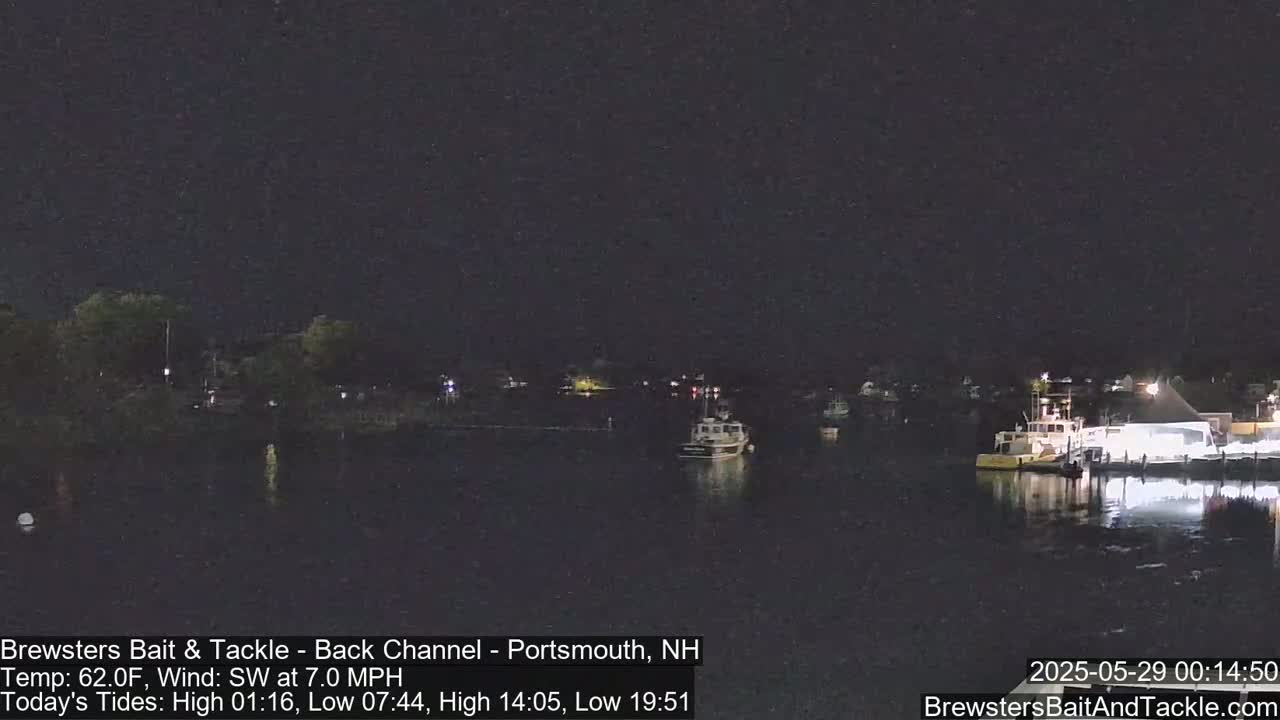A nighttime view of a calm body of water with several boats docked near a shoreline under a dark sky.