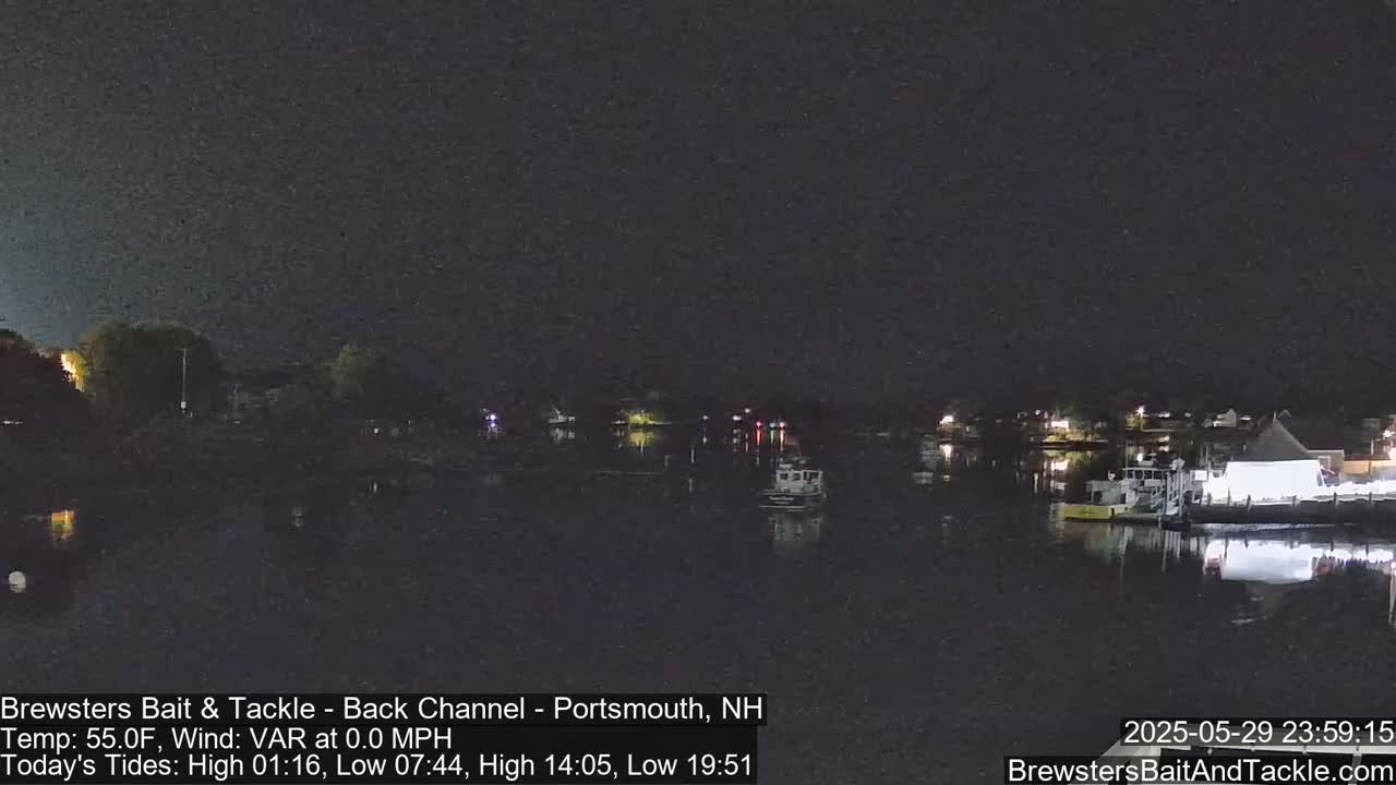 A nighttime view of a calm body of water with boats docked along the shore under a dark sky.