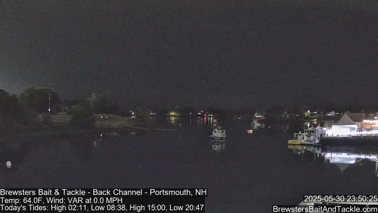 A nighttime view of a calm body of water with boats moored near a shoreline, under a dark sky.