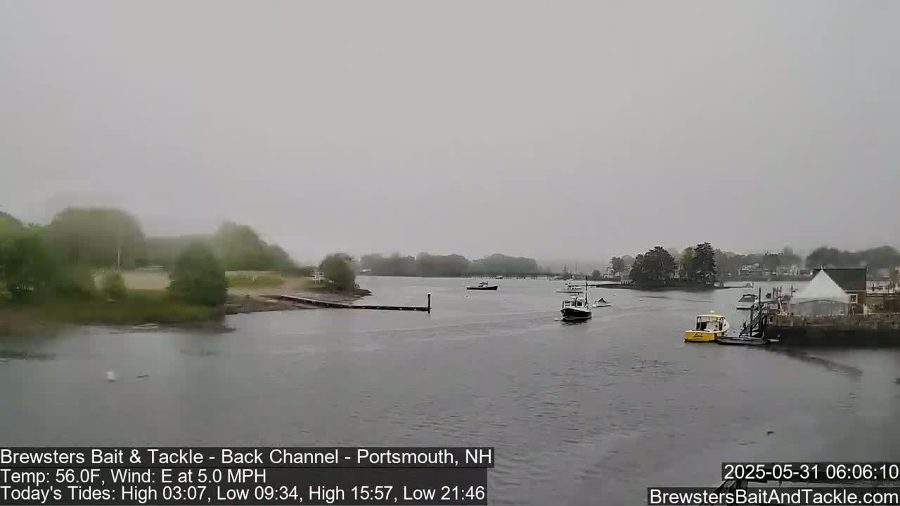 A foggy, overcast day shows several small boats on a calm waterway near a shoreline with green trees and buildings.