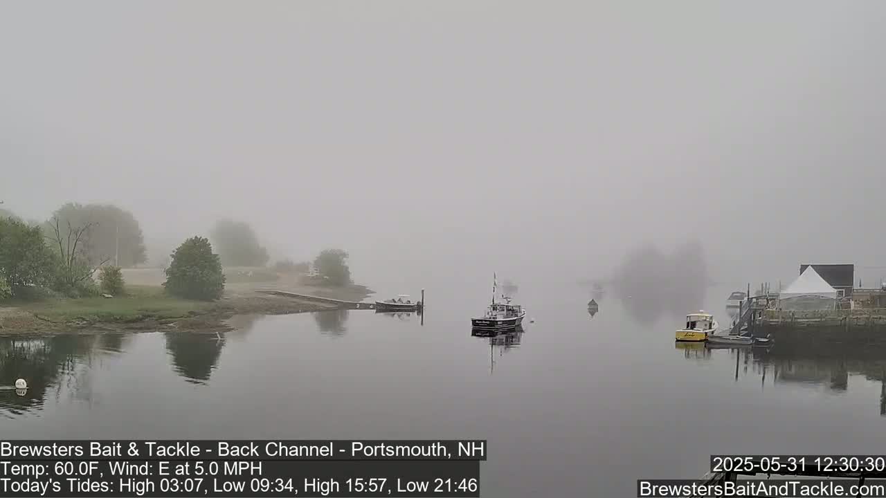 A foggy waterway shows several small boats moored near a shoreline with buildings and vegetation.