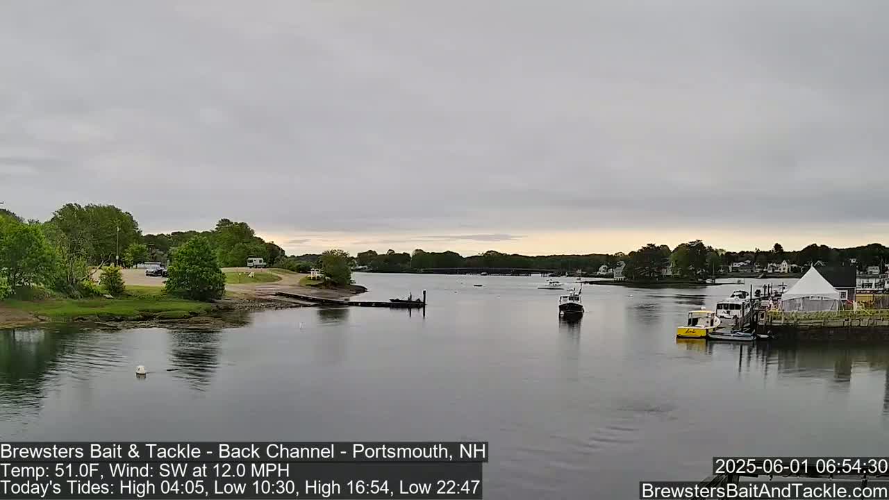 A calm river scene under an overcast sky shows several small boats moored near a shoreline with green trees and buildings.