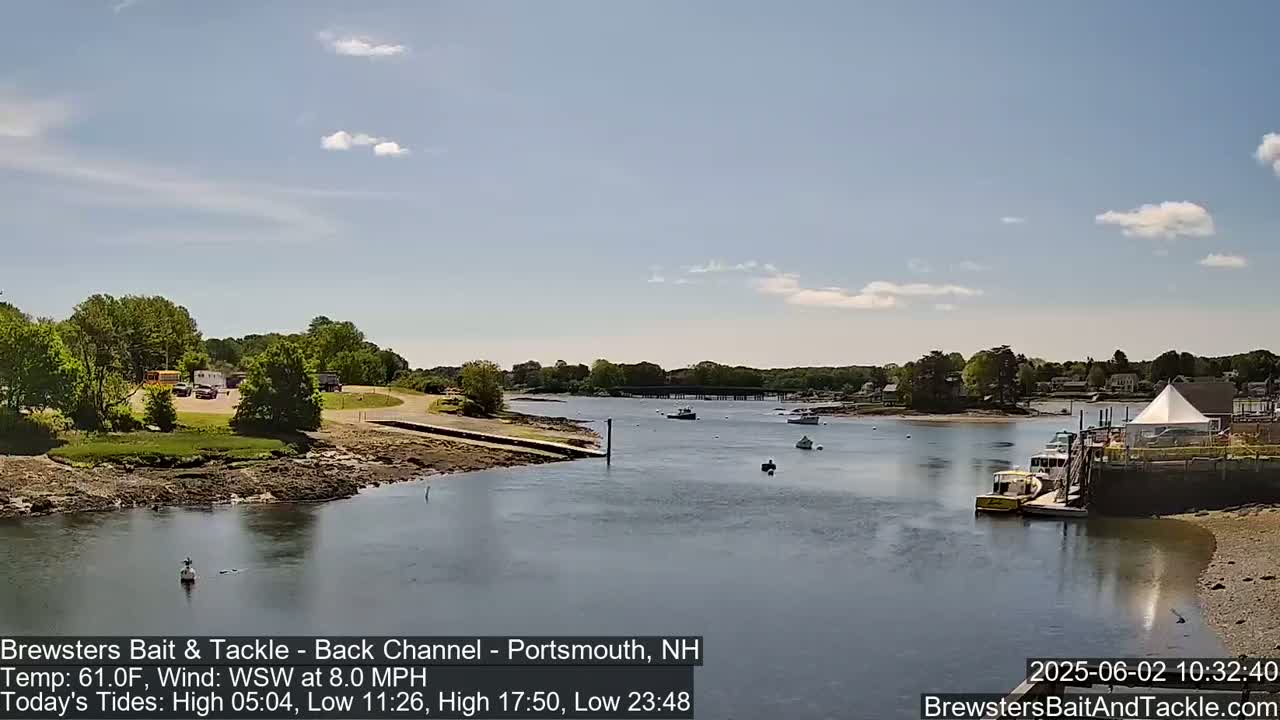 A calm river flows past a shoreline with green trees and a few boats, under a partly sunny sky.