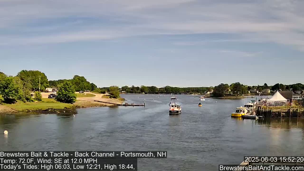 A calm river scene shows several boats near a shoreline with trees, buildings, and a tent under a partly cloudy sky.