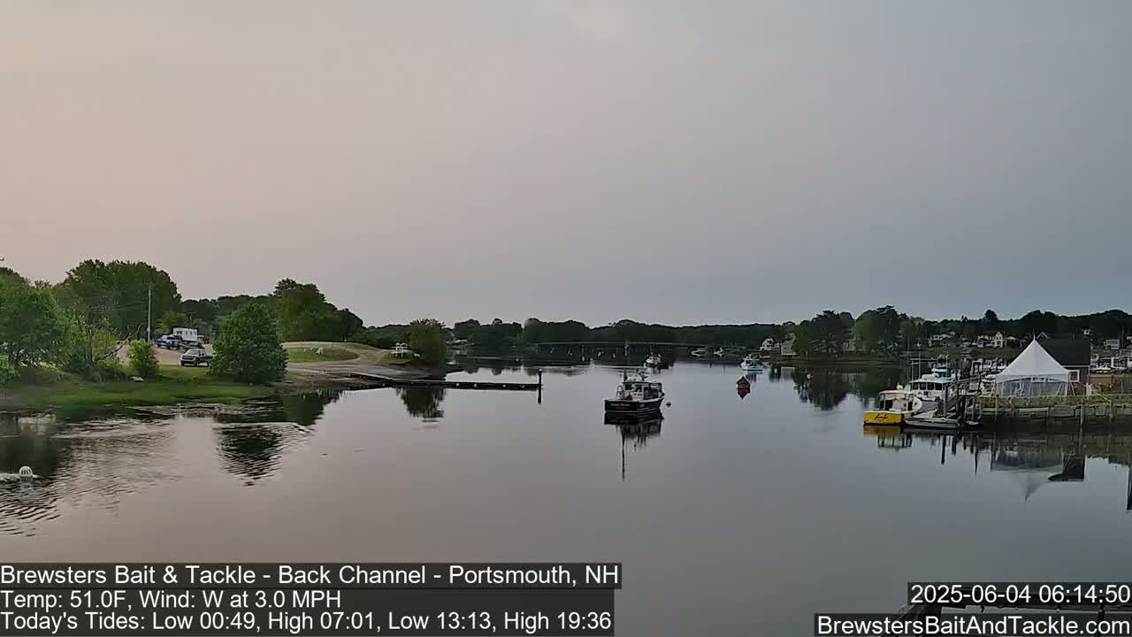 Several boats are moored on a calm river under a pale, overcast sky, with green trees and a parking area visible on the opposite bank.