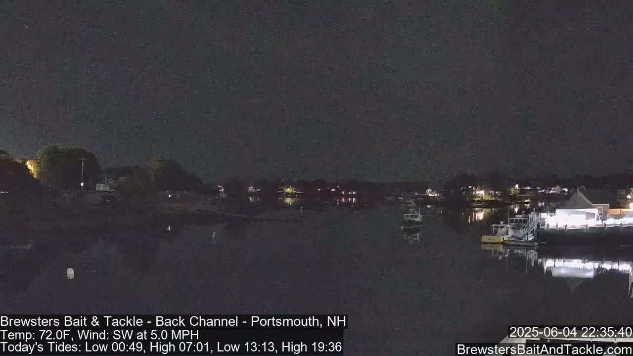 A nighttime view of a calm body of water with boats moored at a dock under a clear, dark sky.