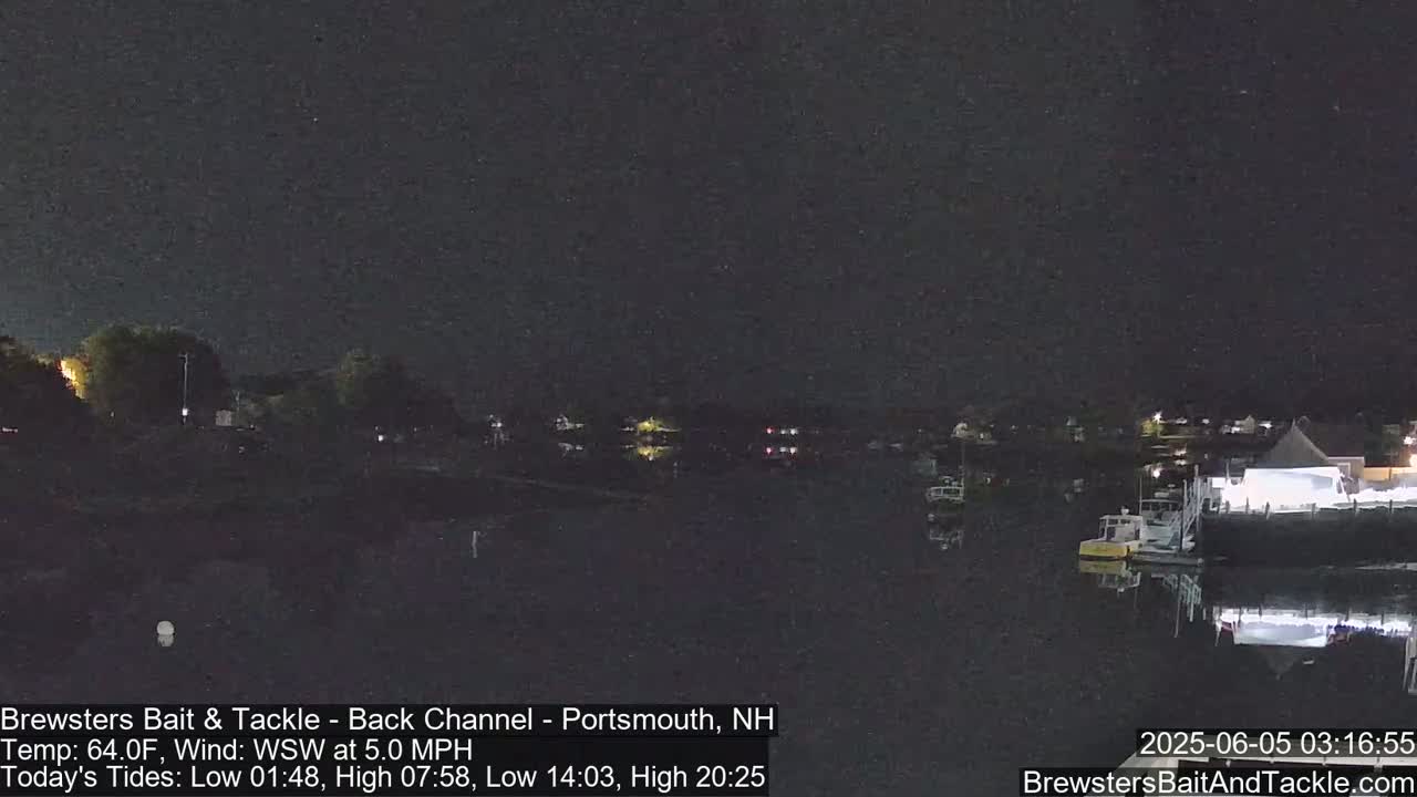A nighttime view of a calm body of water with boats moored at a dock under a dark sky.