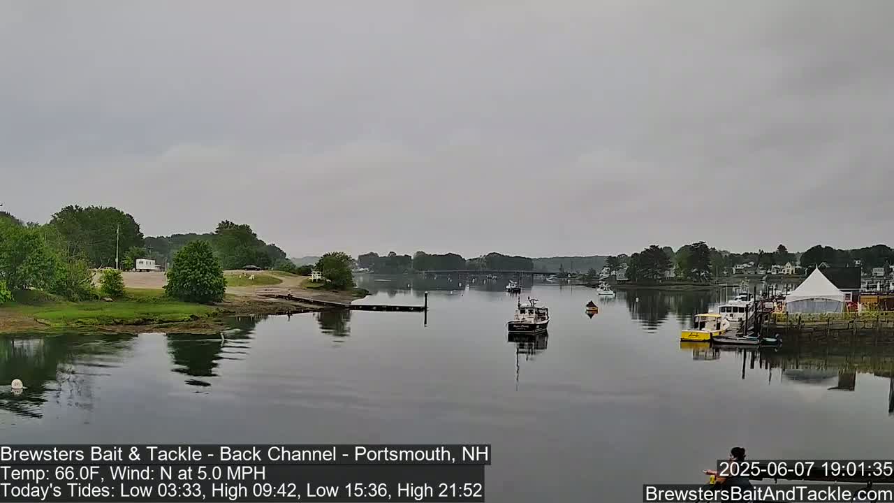 A calm river scene under an overcast sky shows several boats moored near a shoreline with trees and buildings in the background.