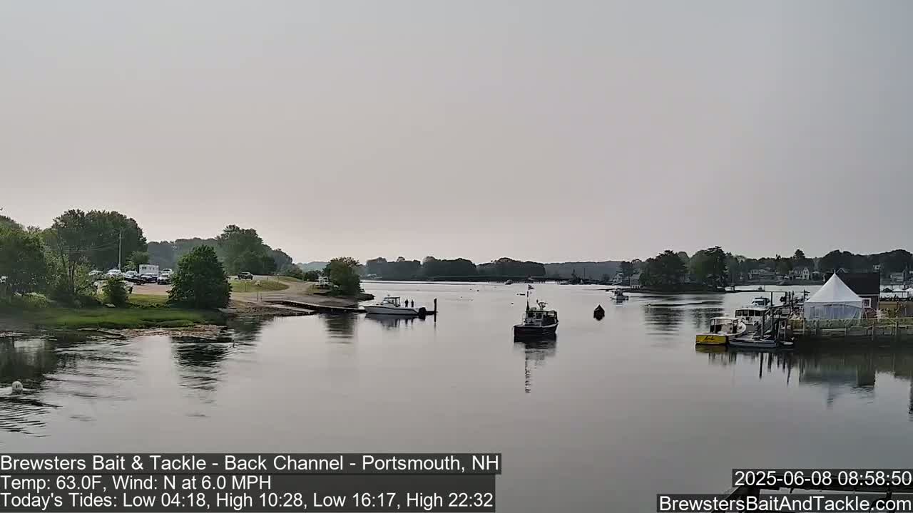 A calm, overcast day reveals a river scene with several boats moored near a shoreline featuring green trees and parked cars, and a white tent in the distance.