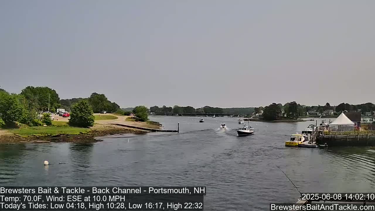 Several boats are on a calm, gray-sky day on a waterway that has green shores with trees and buildings in the distance.