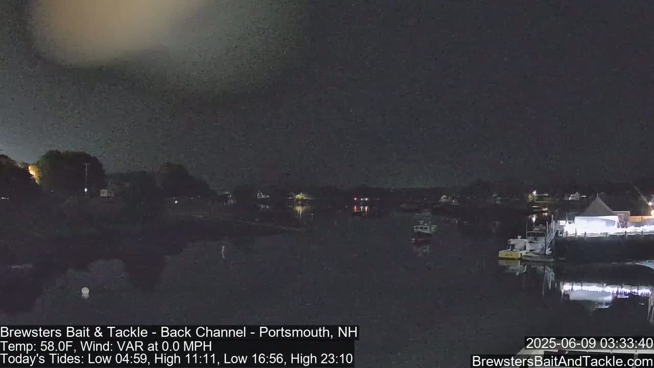 A nighttime view of a calm body of water with boats moored at a waterfront, under a dark sky.