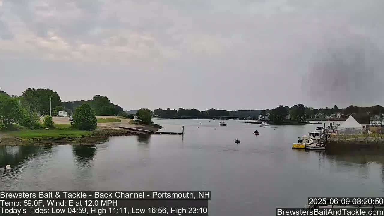 A calm river flows past a shoreline with green trees and a small boat launch, under an overcast sky.