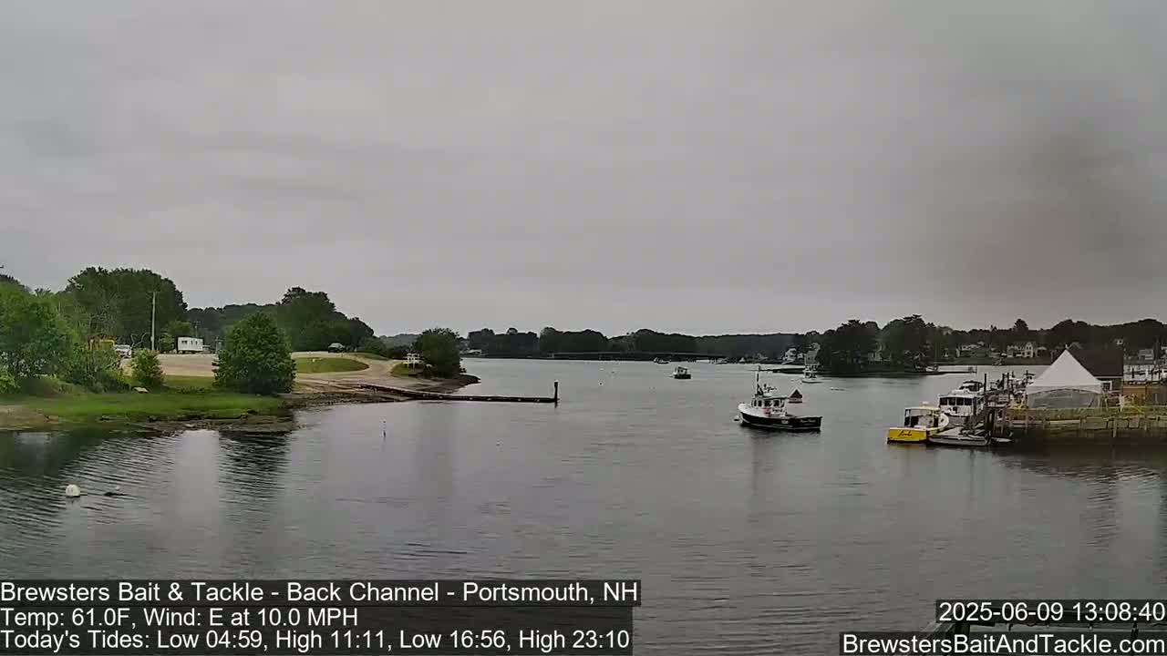 A calm, overcast day shows a waterway with several small boats moored near a shoreline with green trees and buildings under a gray sky.