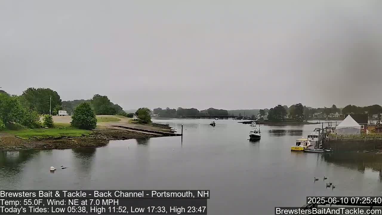 A calm, overcast day shows a river with several boats moored near a shoreline with green trees and buildings.